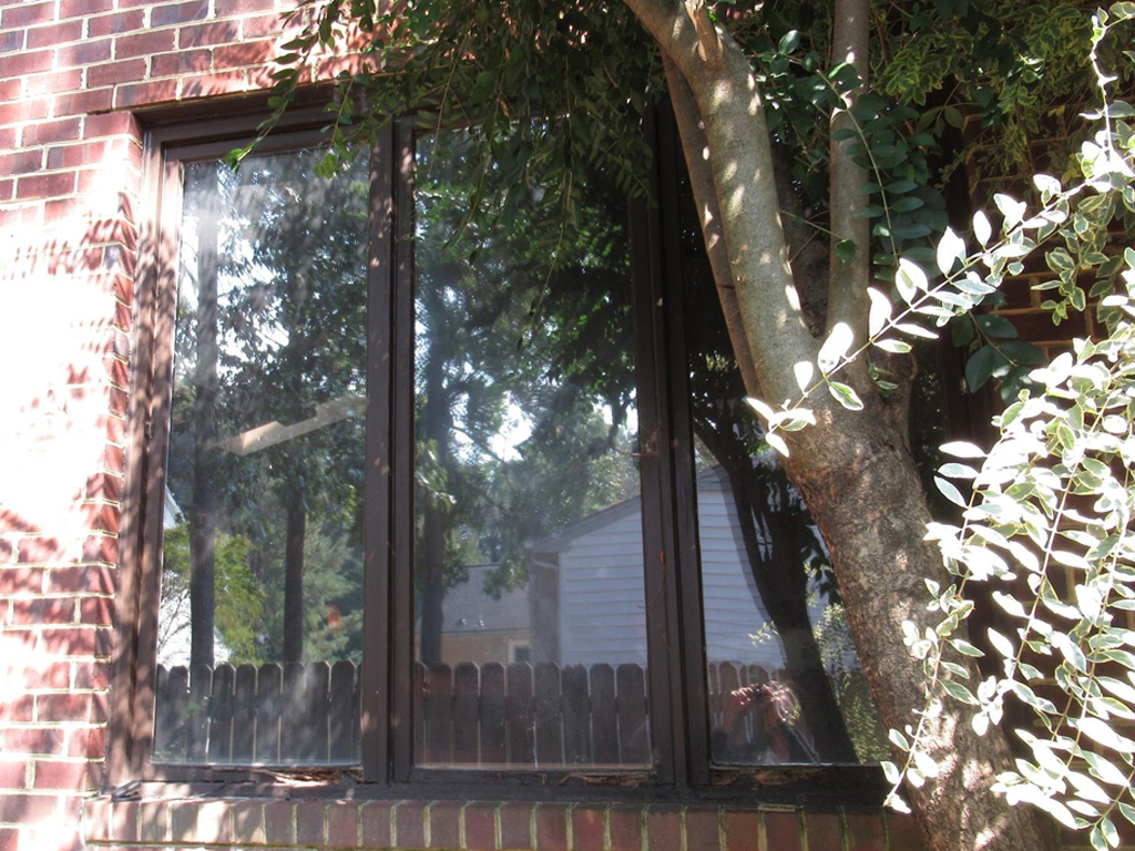 old window needing replacement