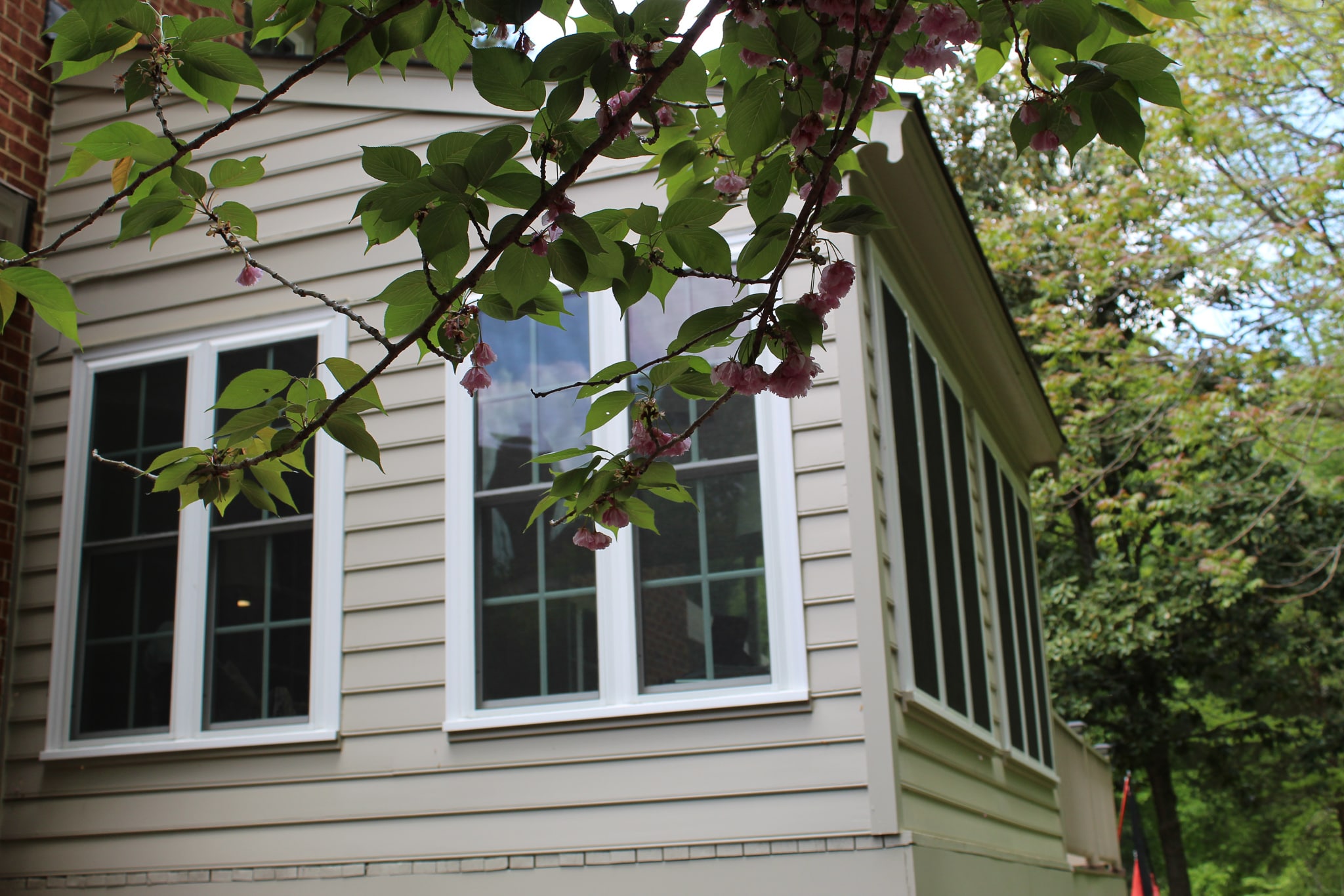 Replacement Vinyl Windows House